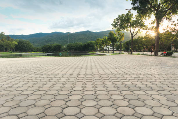 Best Permeable Paver Driveway  in Park Ridge, NJ
